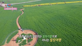힐링전북 4회 <고창 청보리밭 축제>