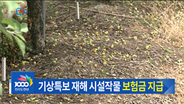 농작물재해보험 지원 확대