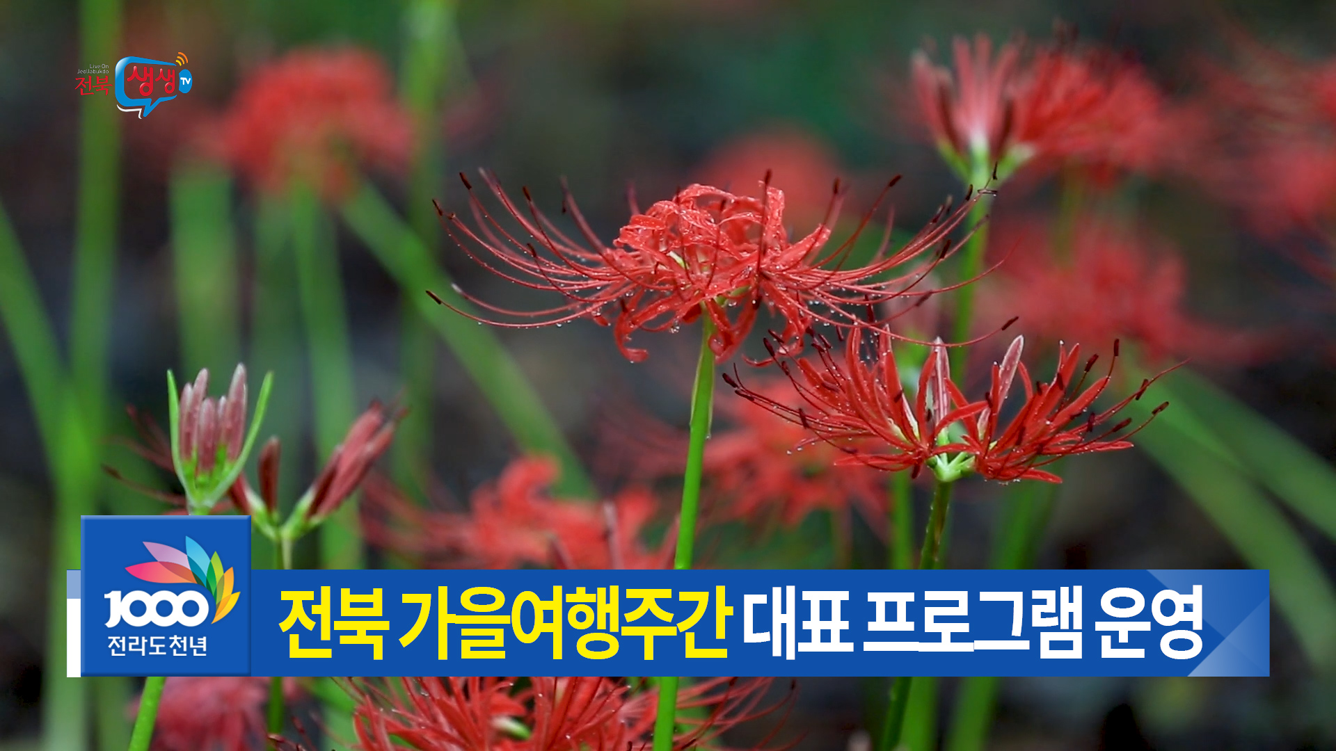 가을향기 가득한 전북여행