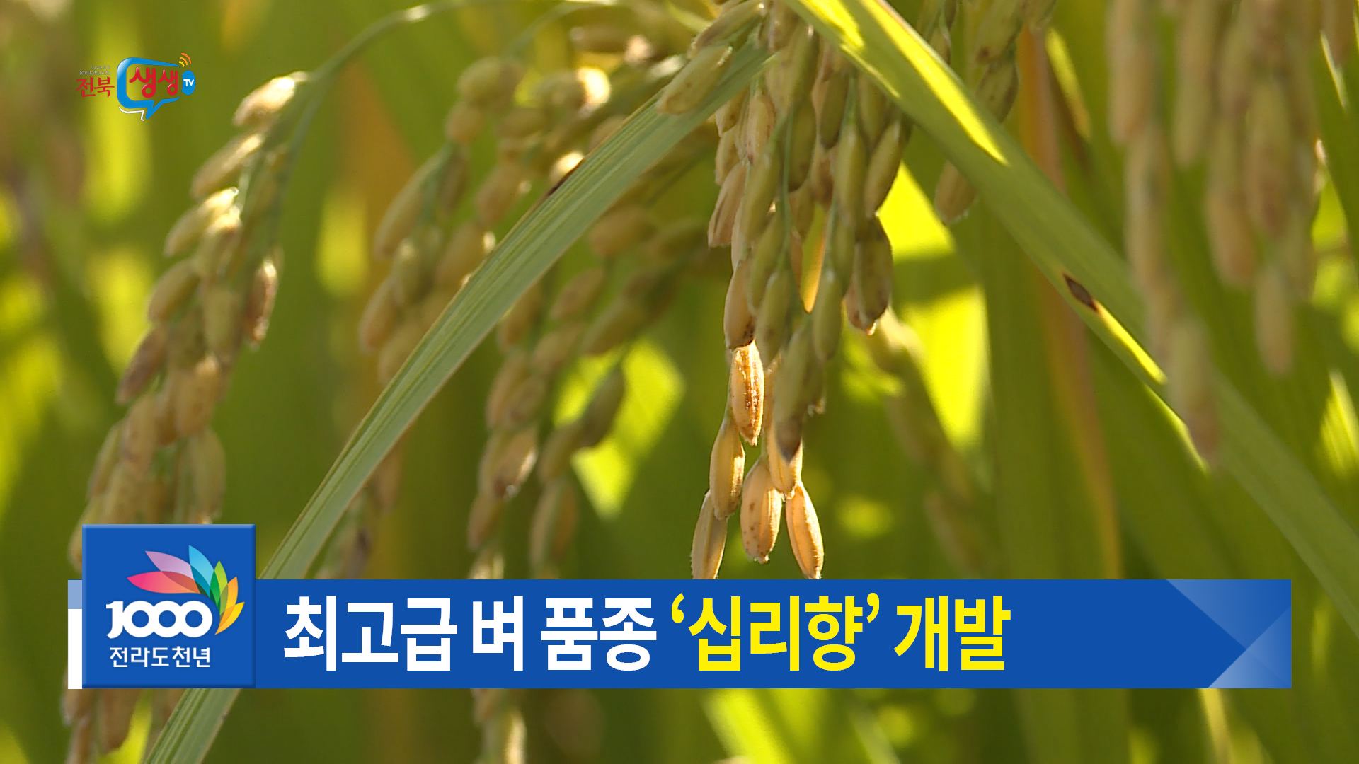 전북농업기술원 ‘십리향’ 개발 