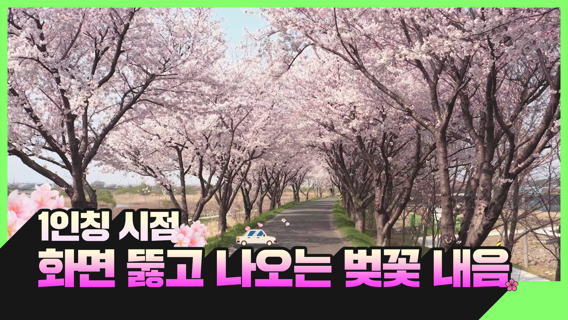 1인칭 벚꽃놀이 시점