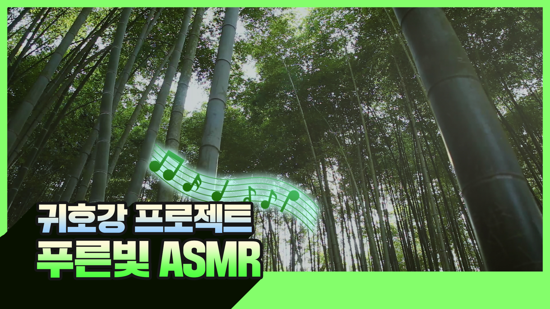 귀 호강 프로젝트