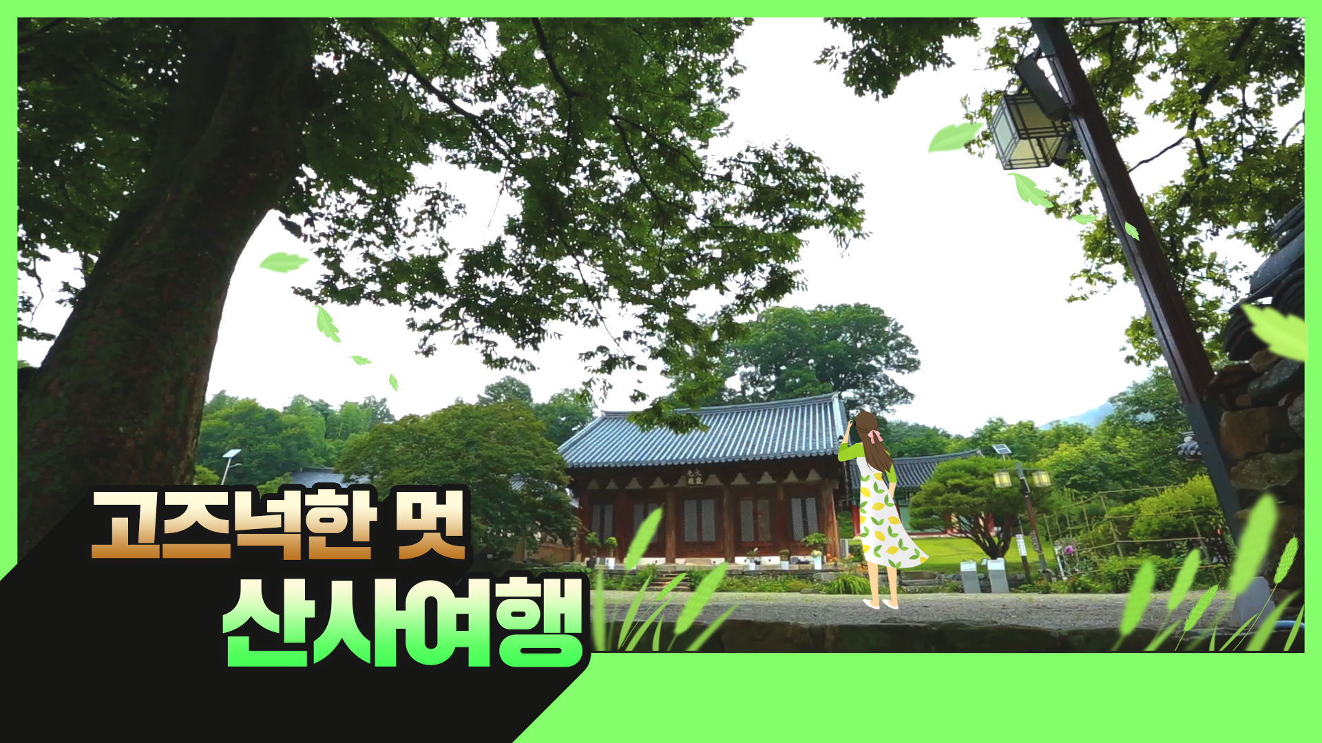 [명불허전북]고요한 산사, 혼자 왔니?