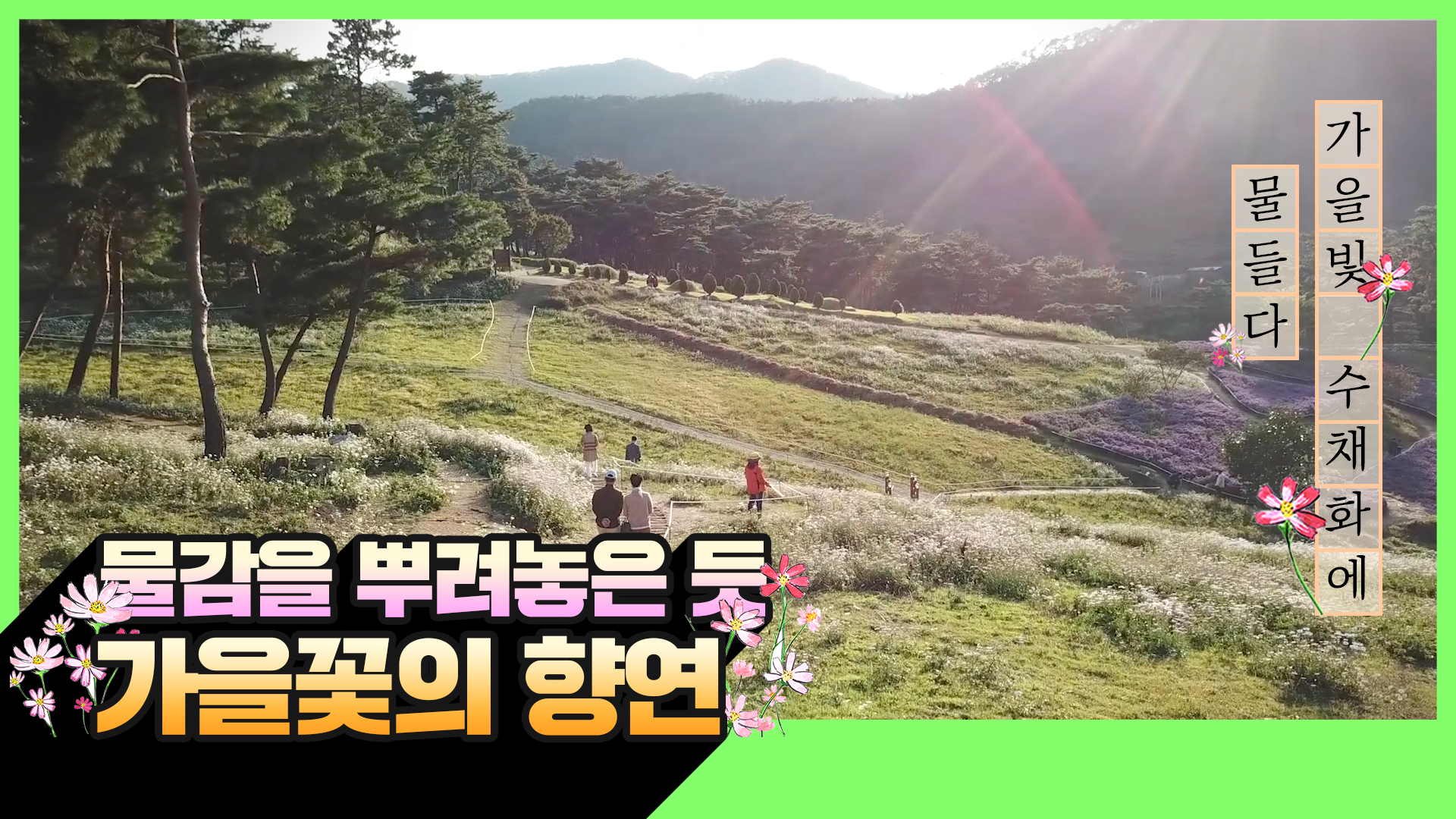 [명불허전북] 알록달록한 꽃의 나라