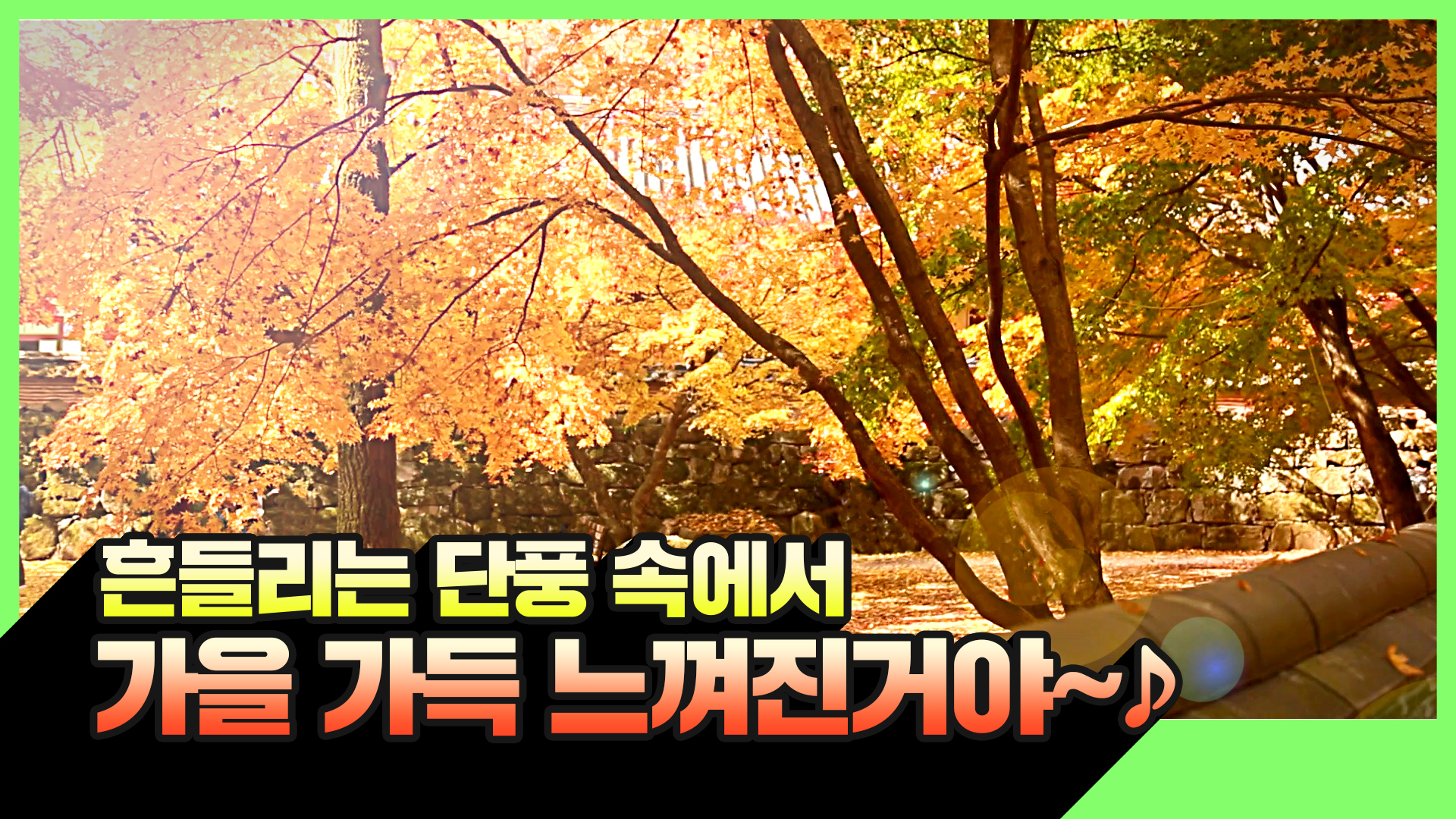 [명불허전북] 알록달록 나라를 보았늬?