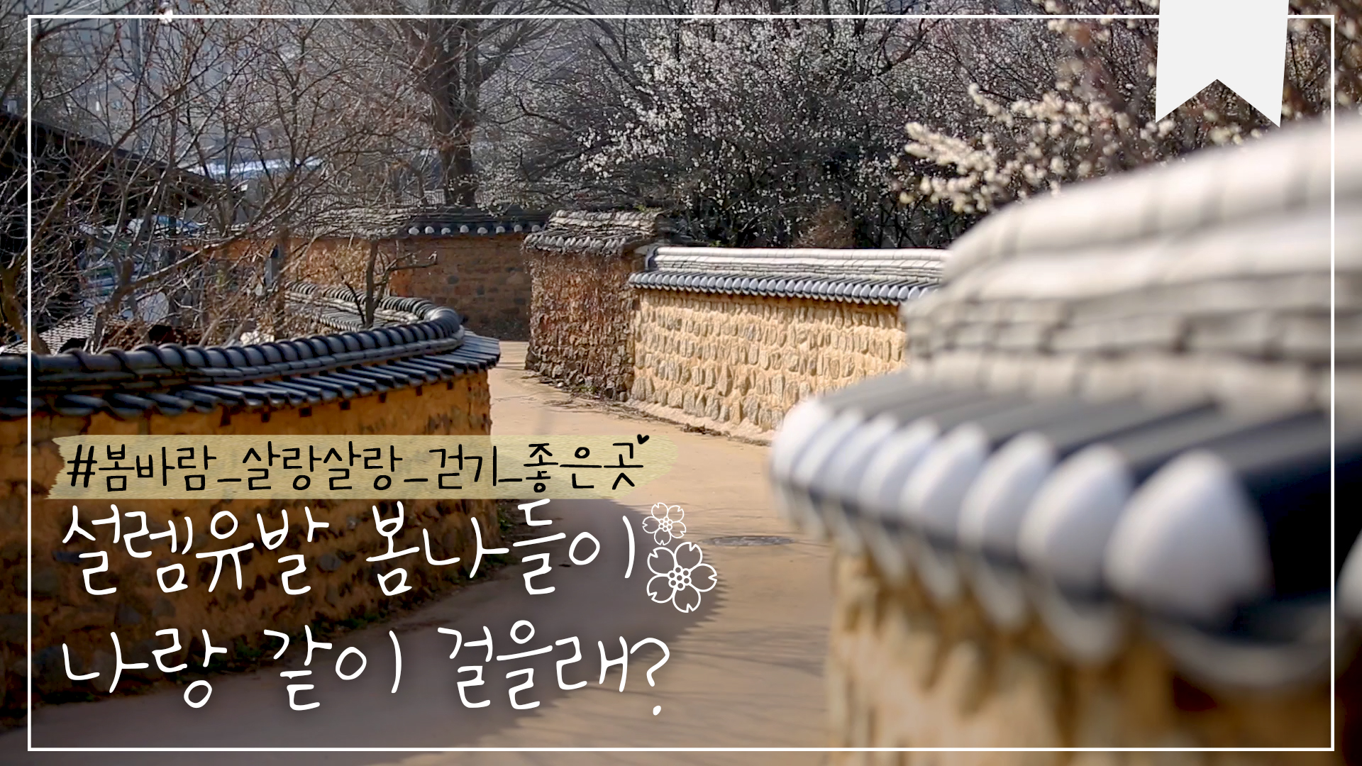 봄맞이 천리길, 같이 걸을까?