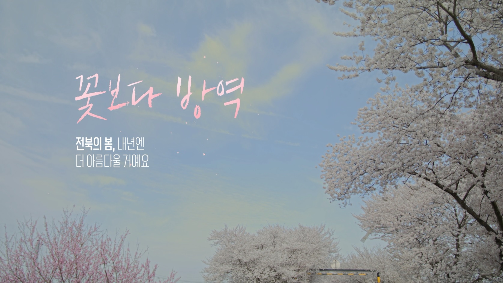 꽃보다 방역