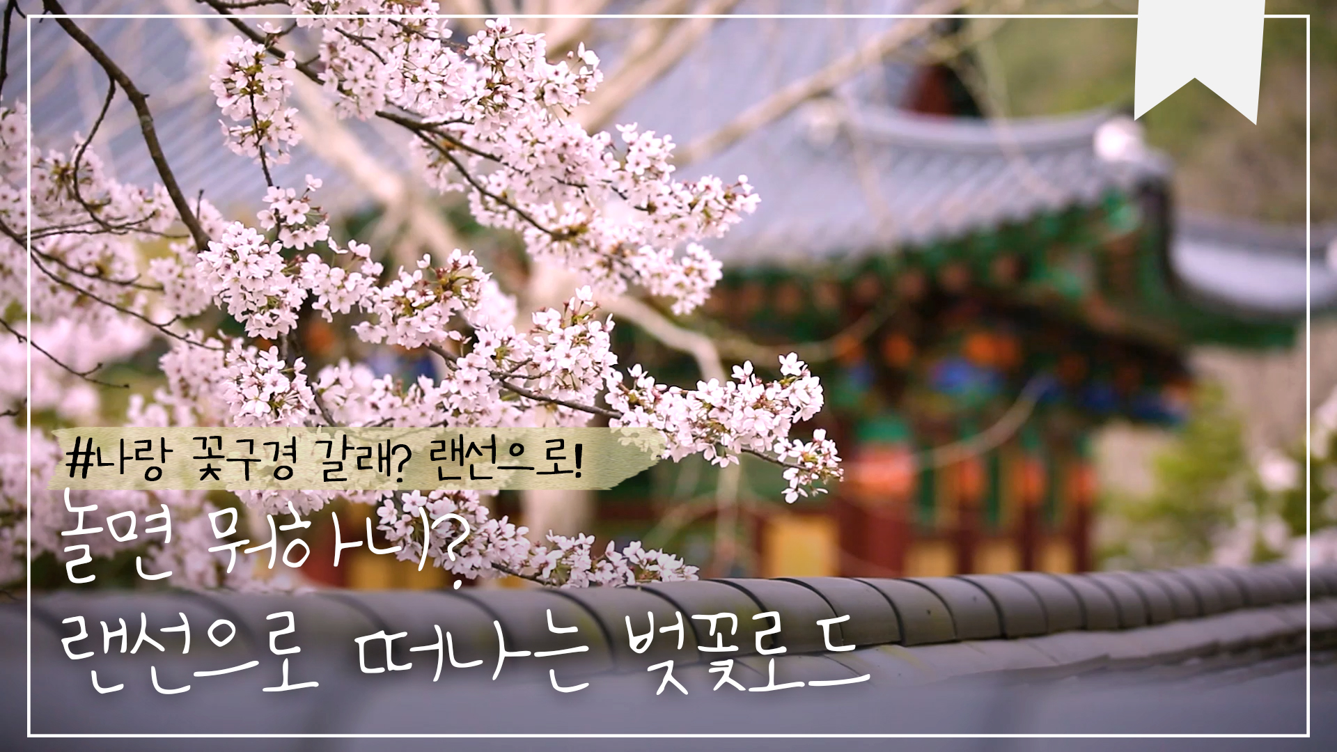 랜선으로 즐기는 전북 벚꽃로드