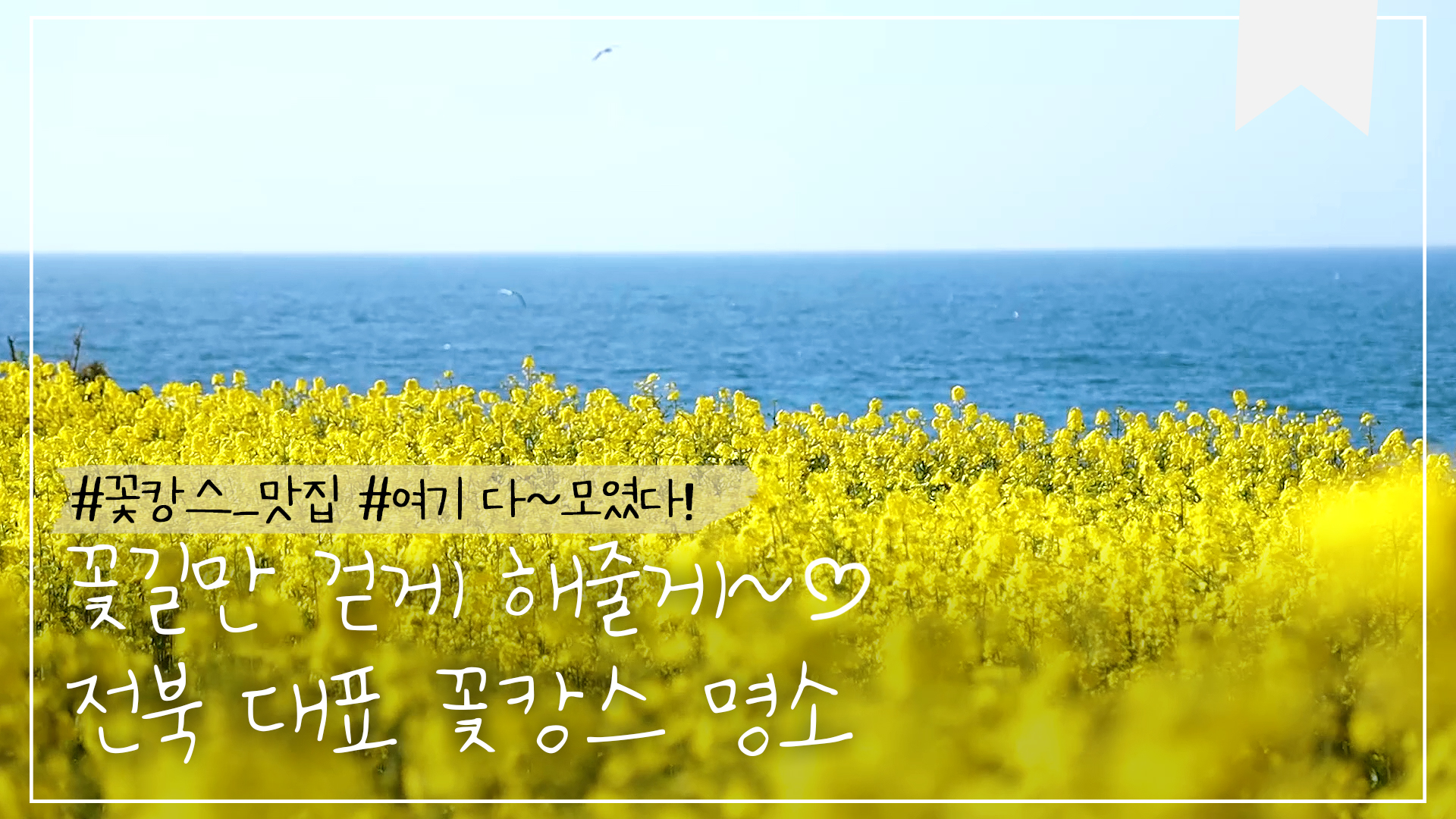 방구석에서 즐기는 꽃캉스