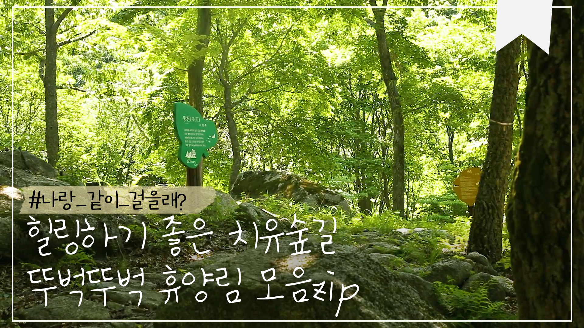 지친 일상에 잠시 쉼표, 힐링 스팟 모음