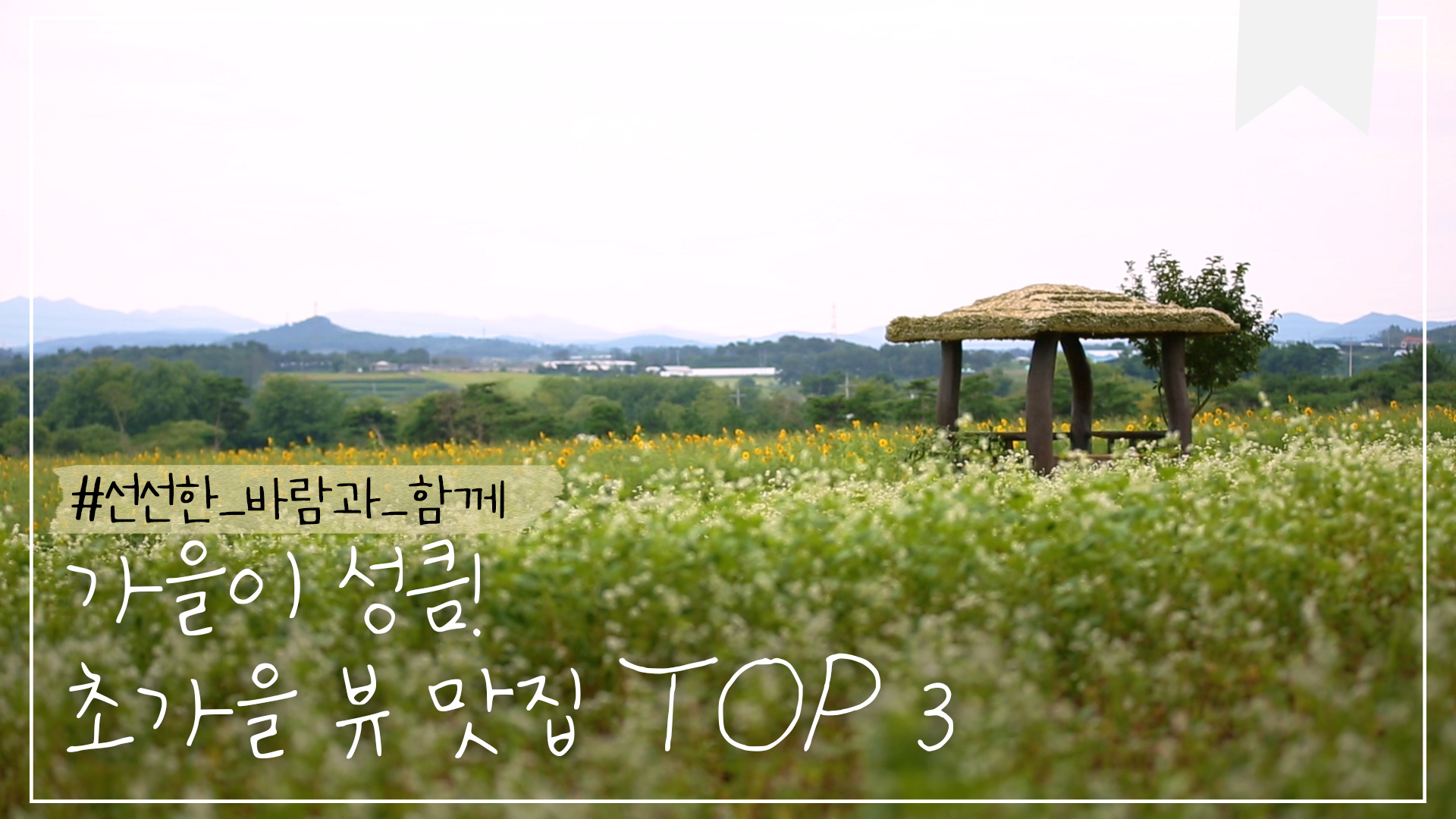 떠나자~♪ 초가을 낭만 뷰 여행!