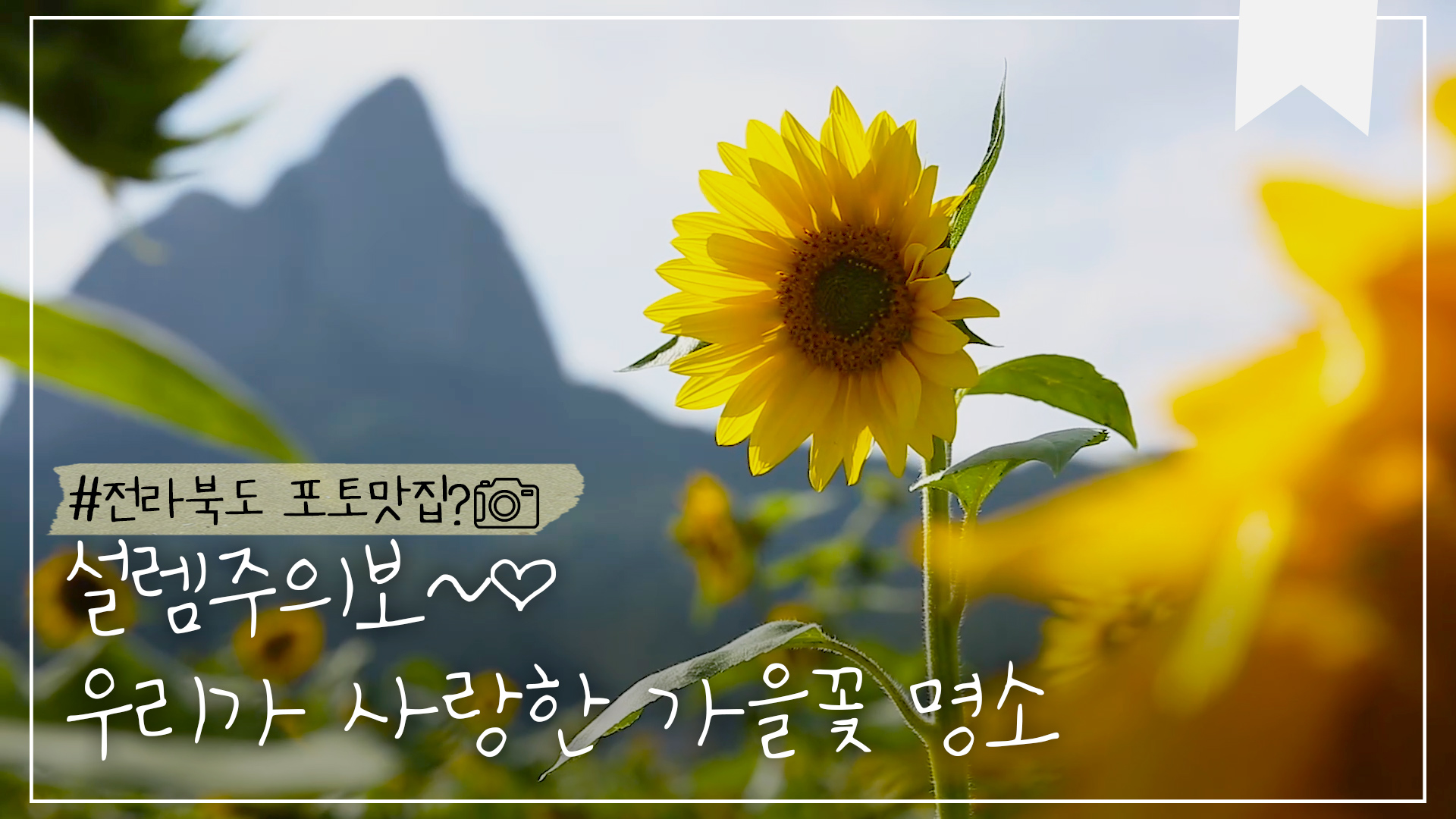 꽃길만 걸어요~ 가을 꽃 명소 pick!