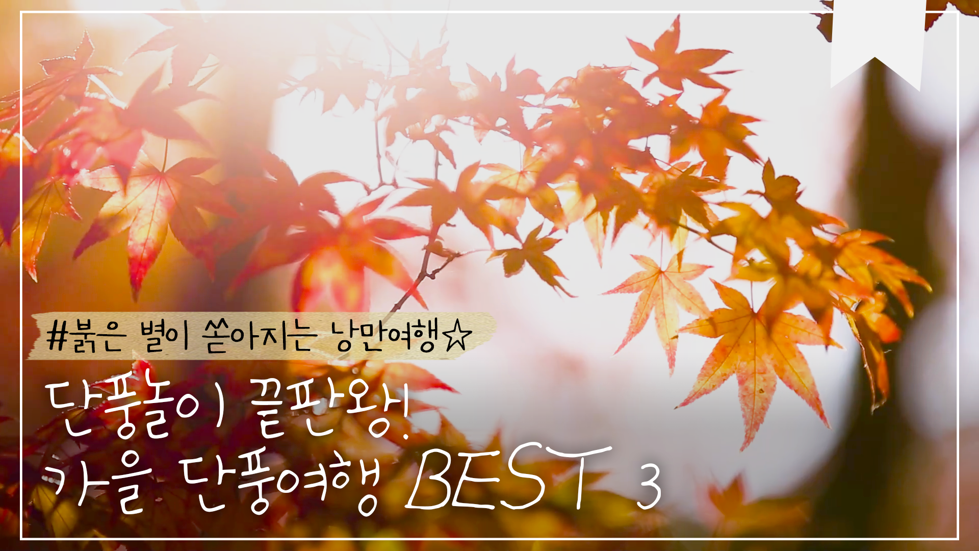 단풍의 아름다움에 매혹되는 시간! 1분 만에 즐기는 단풍여행