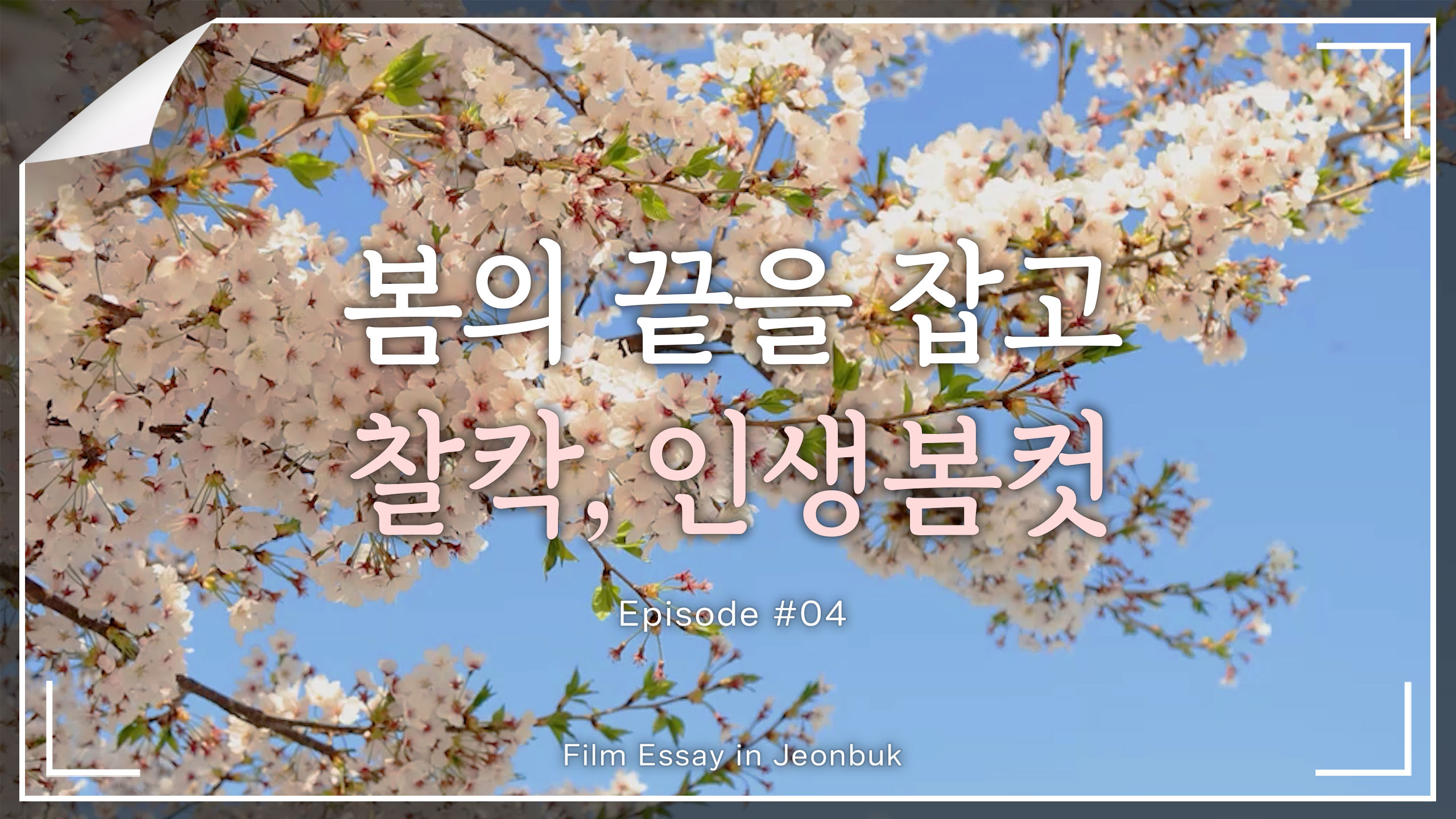 꽃가루를 날려♬ 찰칵 담아보는 인생봄컷🌸