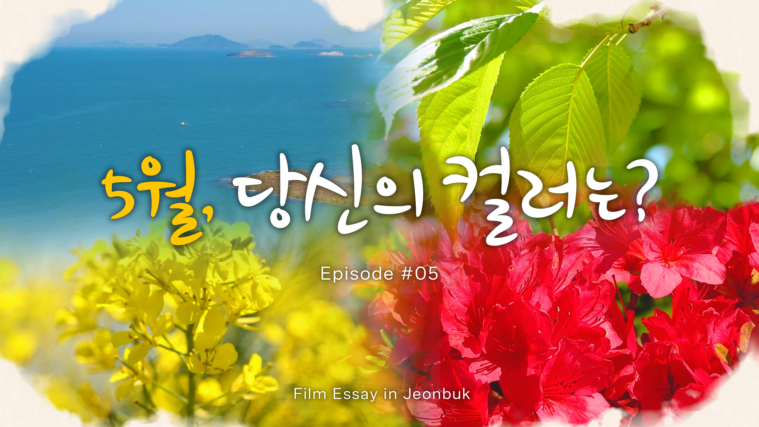 무슨 색이든 칠해봐 5월의 컬러 팔레트
