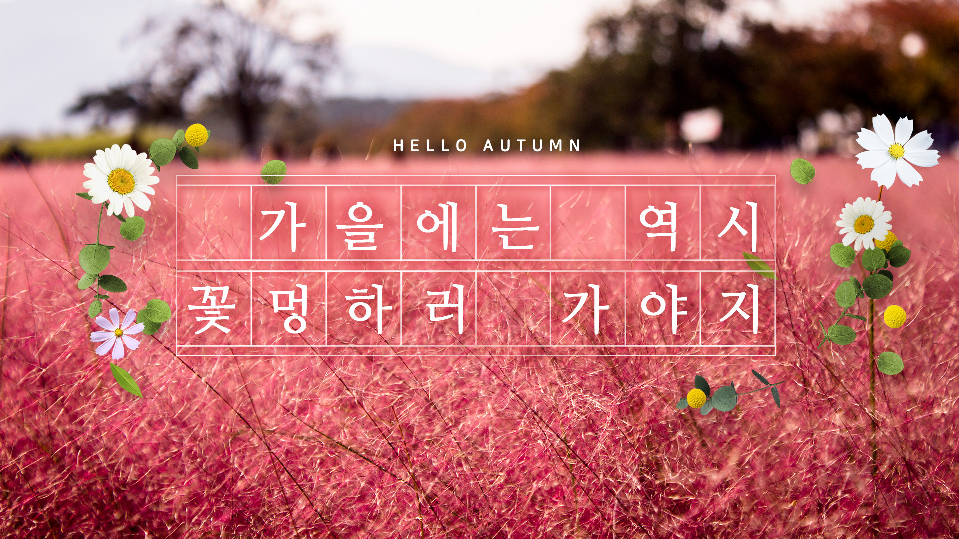 4K 내 취미가 뭔지 알아 바로 꽃멍 때리기야🌷