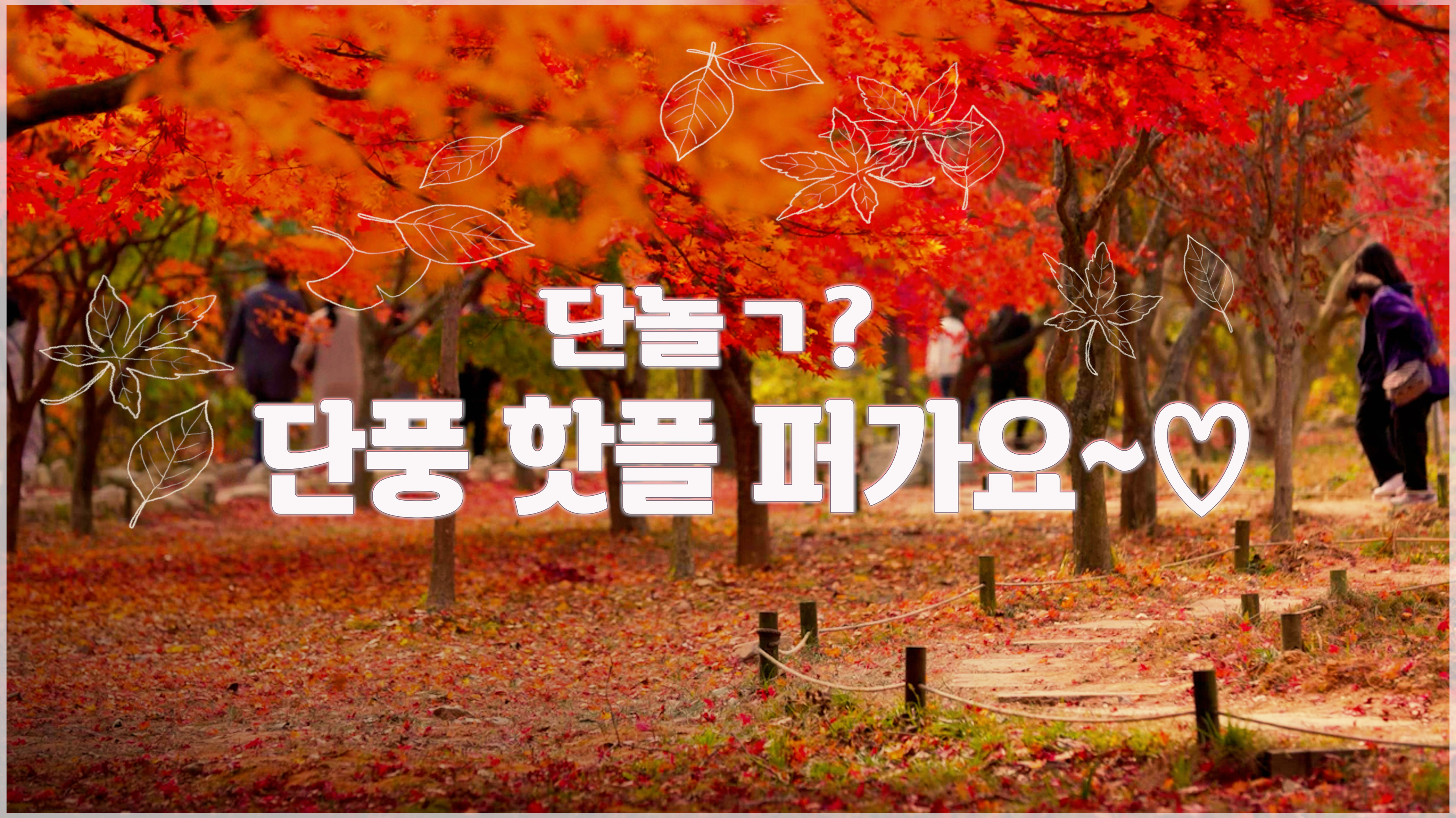 4K ✔가을 필수코스 만인의 최애픽 단풍 명소 모음zip