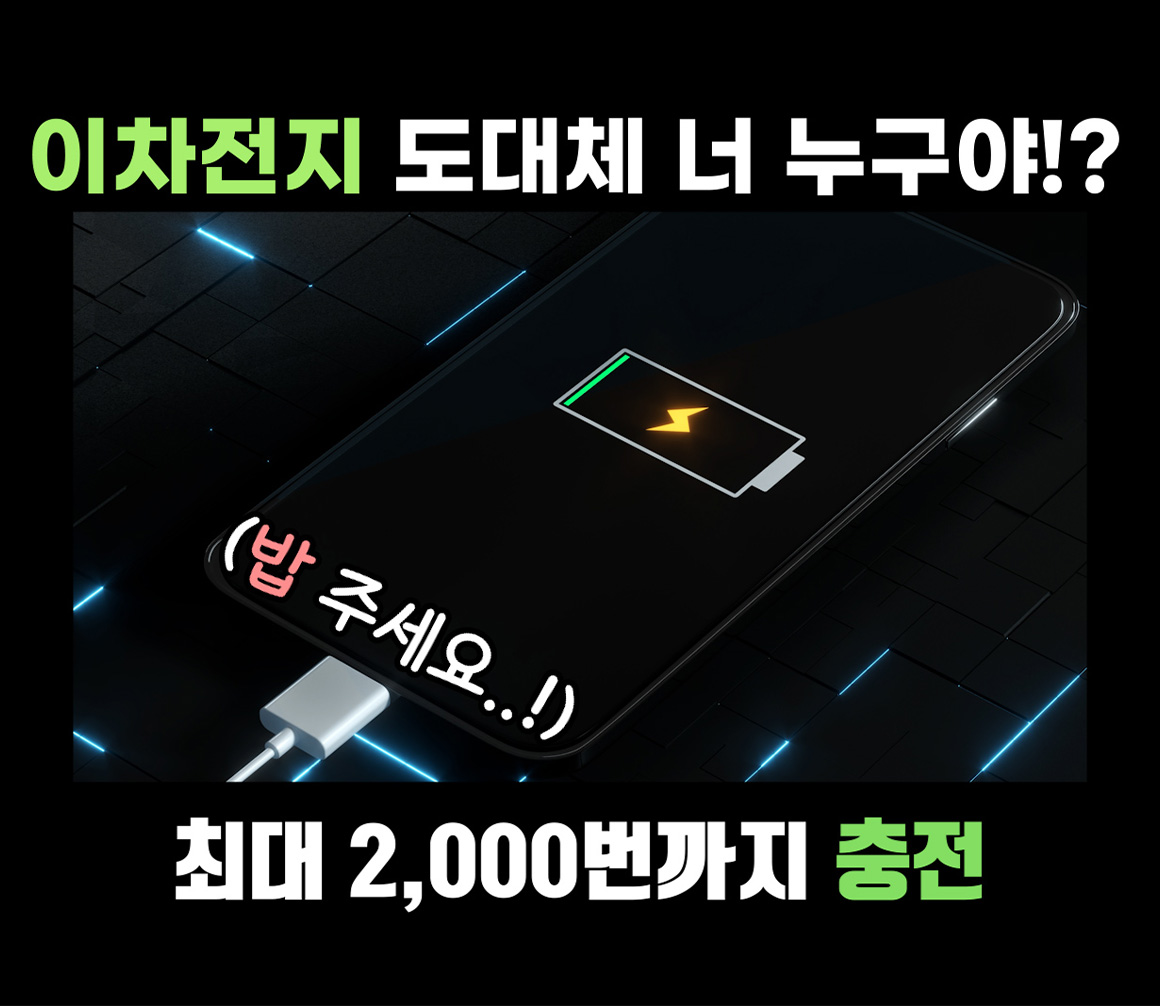 이차전지 특화단지는 전라북도 새만금으로