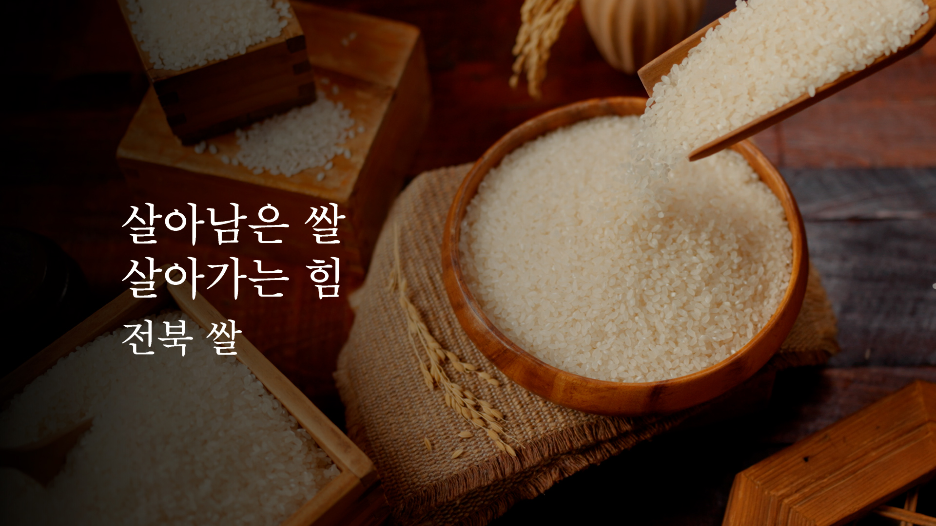 살아남은 쌀 살아가는 힘 전북쌀