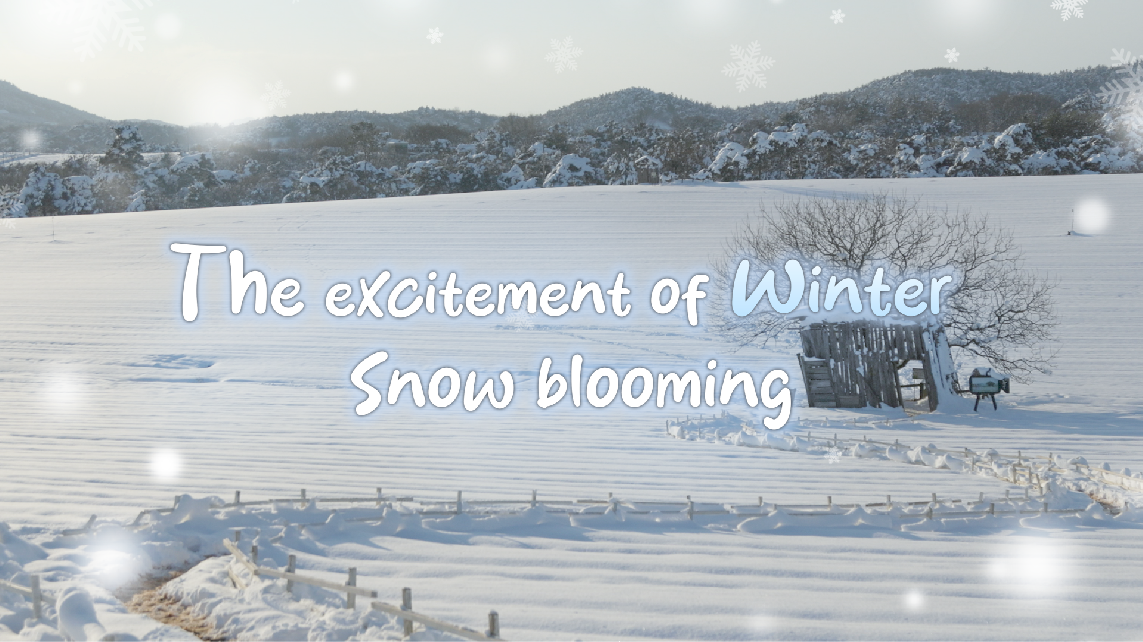 4K 겨울의 설렘 눈꽃이 피다❄｜The excitement of winter snow blooming