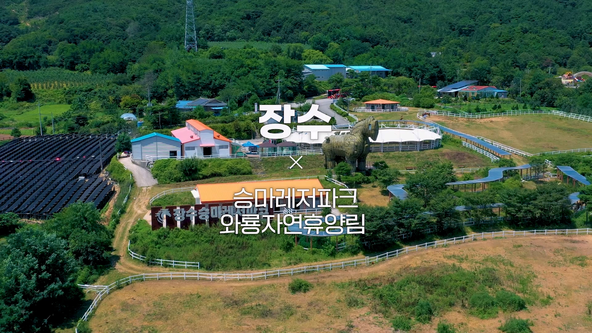 장수 지역연게프로그램