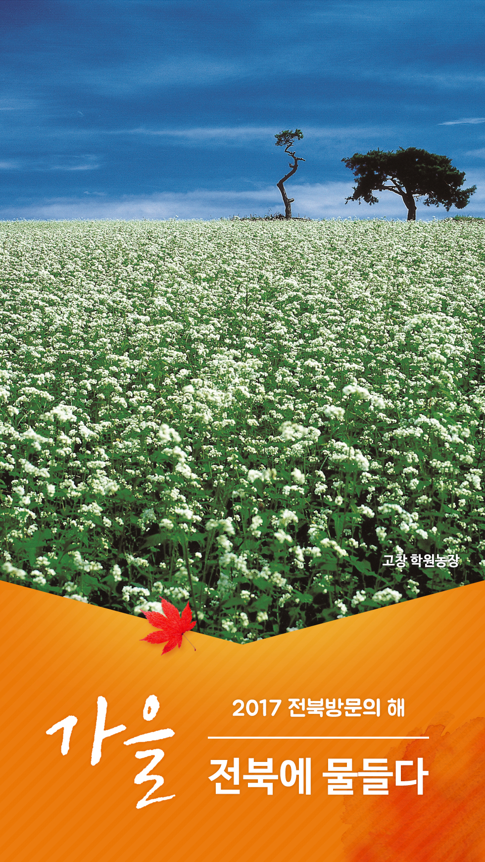 [잠금화면] 2017전북방문의해(가을) 2번째 이미지