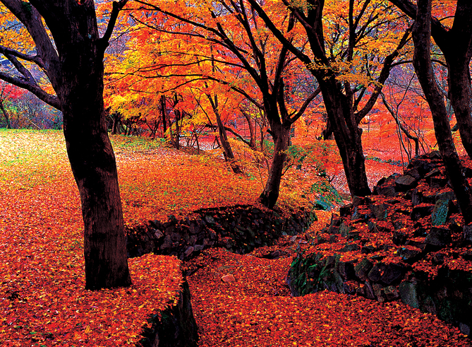 고창 선운산(가을1)