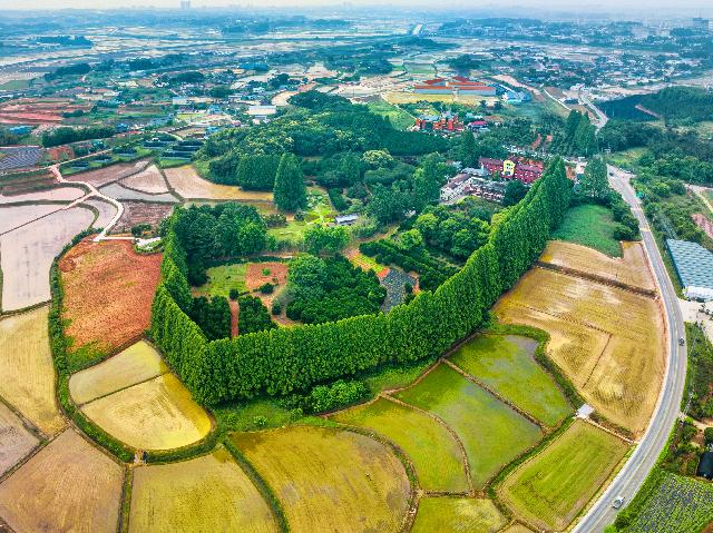 (장려) 초여름날 아가페정원
