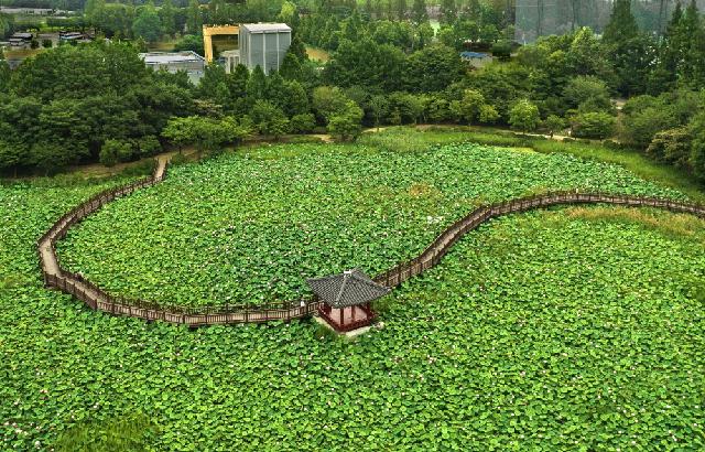 (입선) 덕진연지 풍경