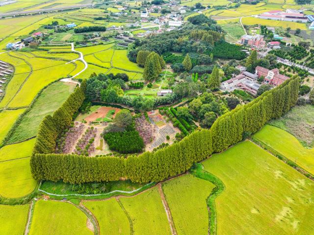 (입선)아가페 정원의 여름