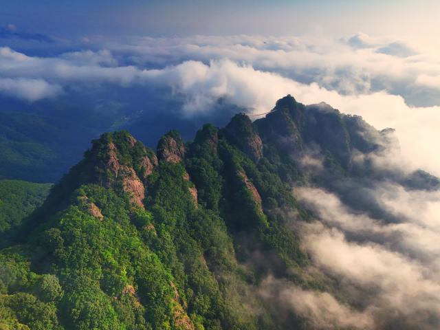 (입선)운무가 휘감아 도는 구봉산