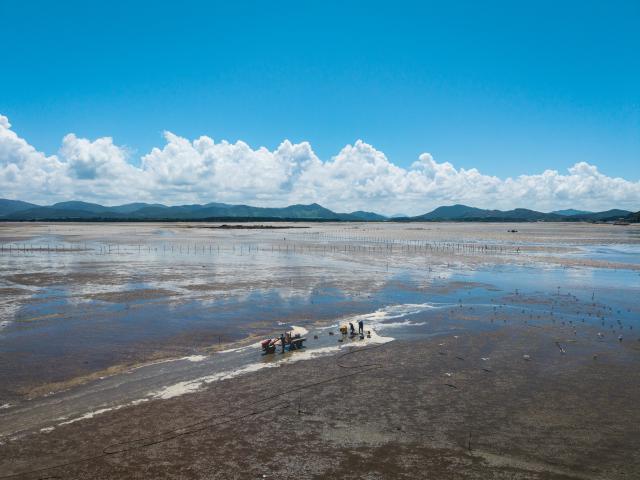 (입선)갯벌의 숨결