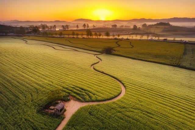 (입선)학원 농장의 아침