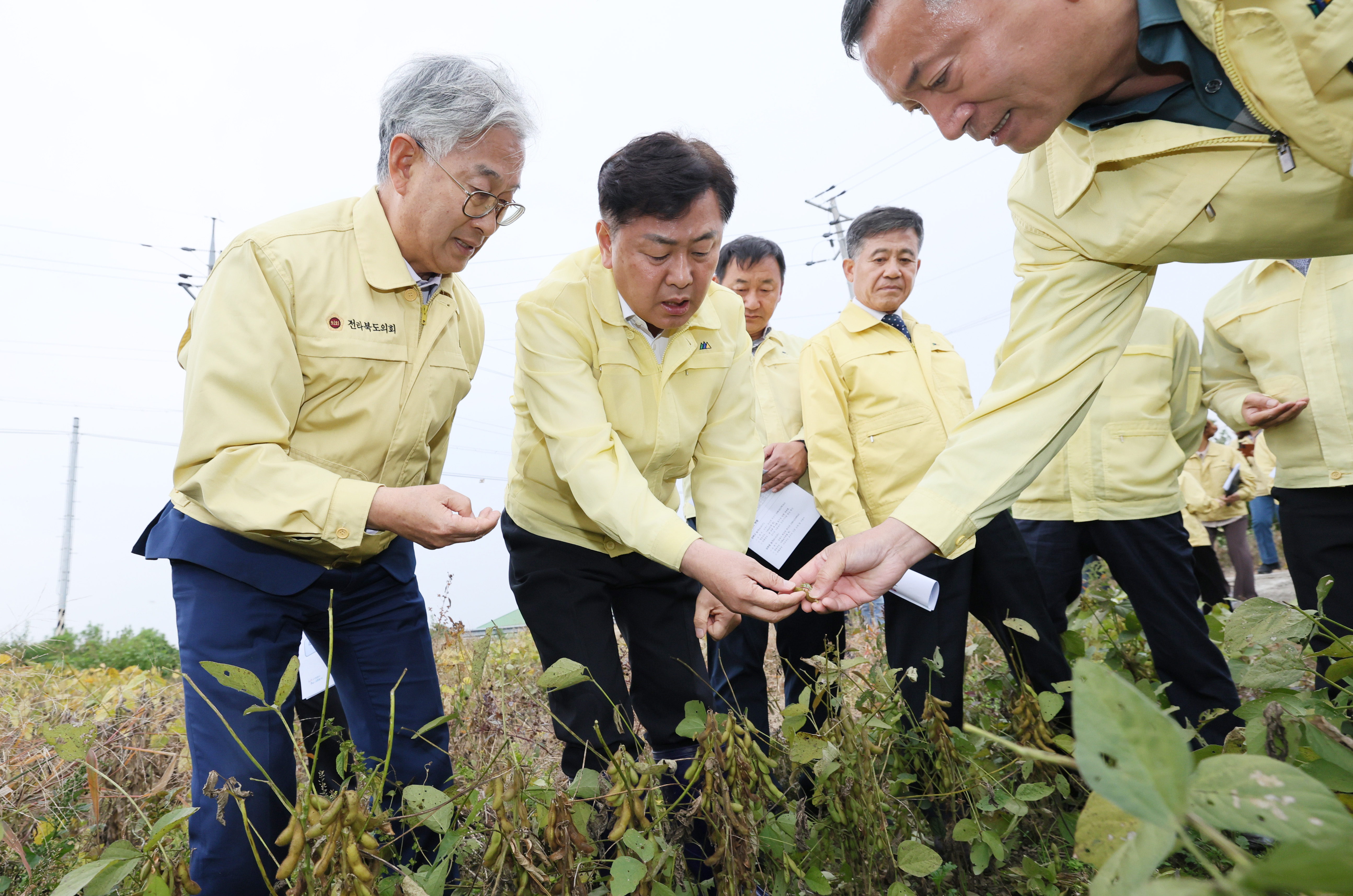 수확기 벼. 논콩 피해 민생 현장 방문 이미지(3)