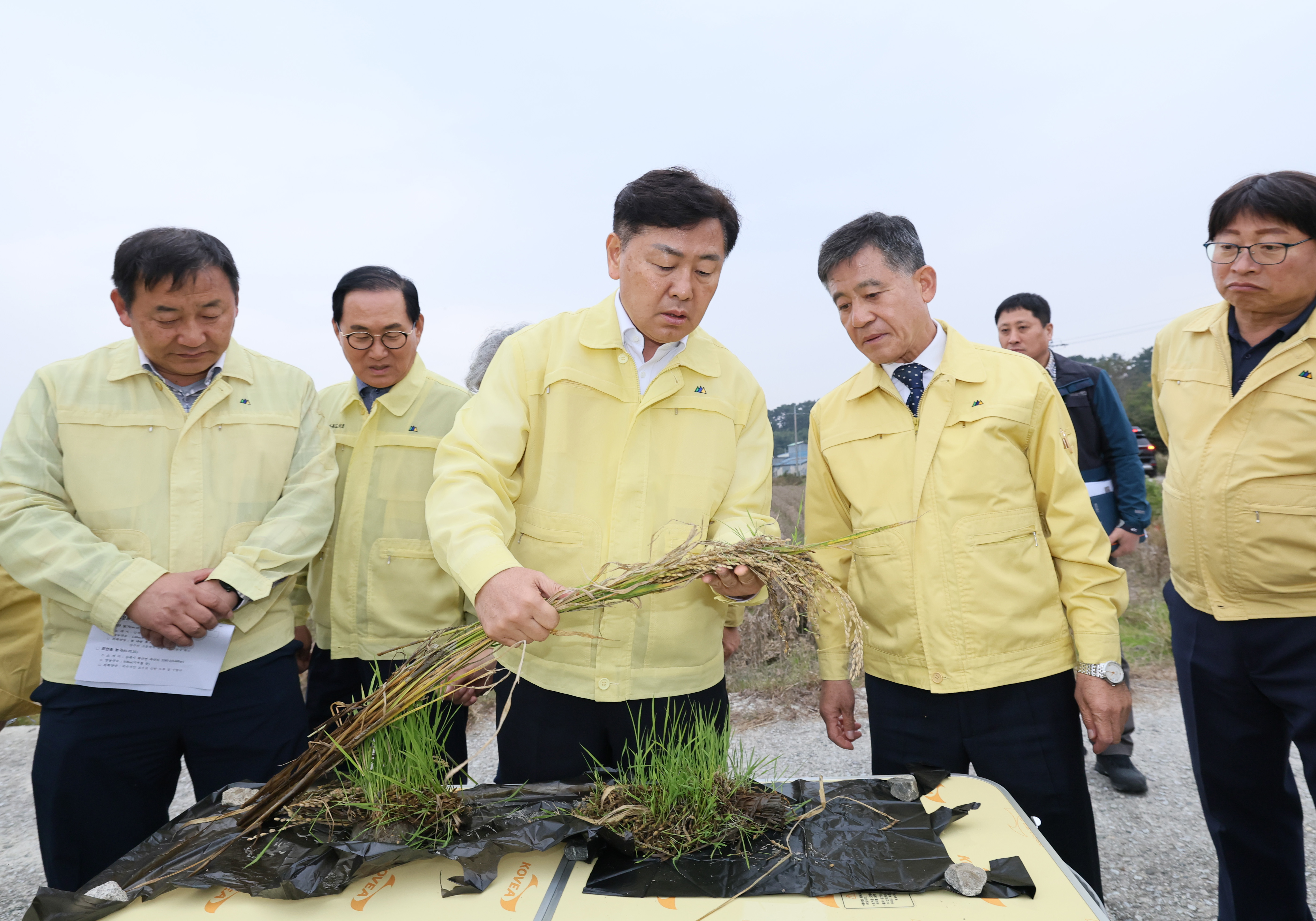 수확기 벼. 논콩 피해 민생 현장 방문 이미지(6)