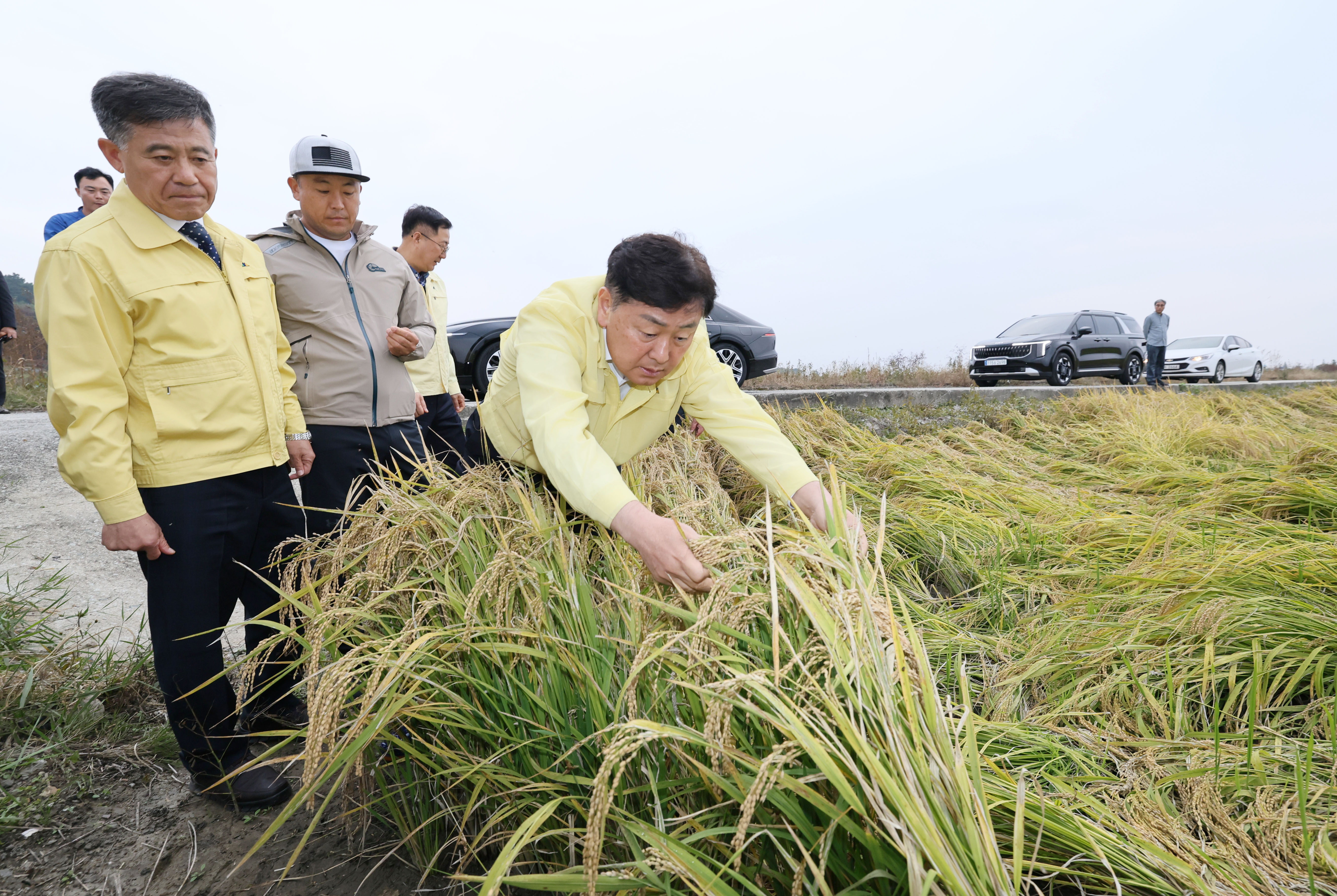 수확기 벼. 논콩 피해 민생 현장 방문 이미지(8)