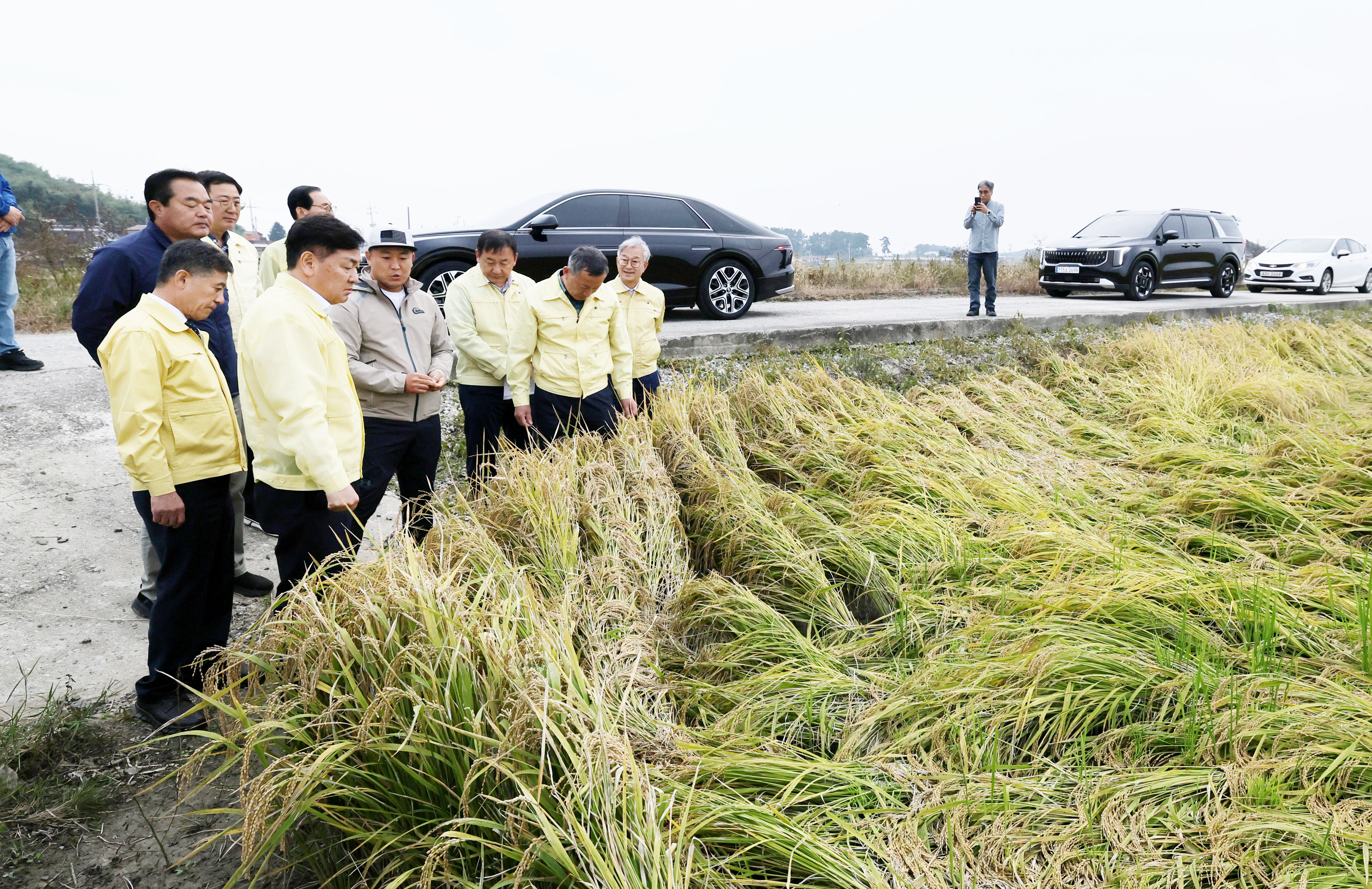 수확기 벼. 논콩 피해 민생 현장 방문 이미지(9)