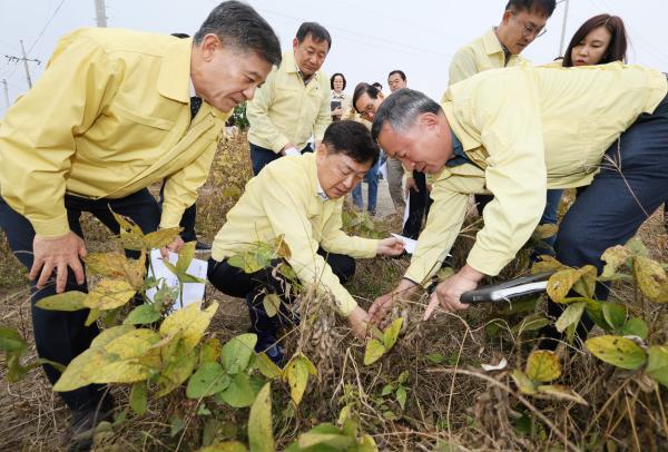 수확기 벼. 논콩 피해 민생 현장 방문