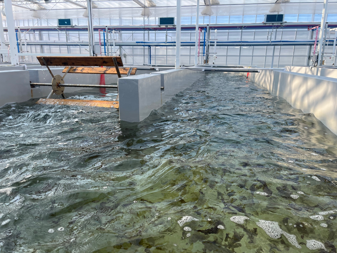 전북자치도, 육상 김 연중 생산 기술 특허 등록 이미지(1)