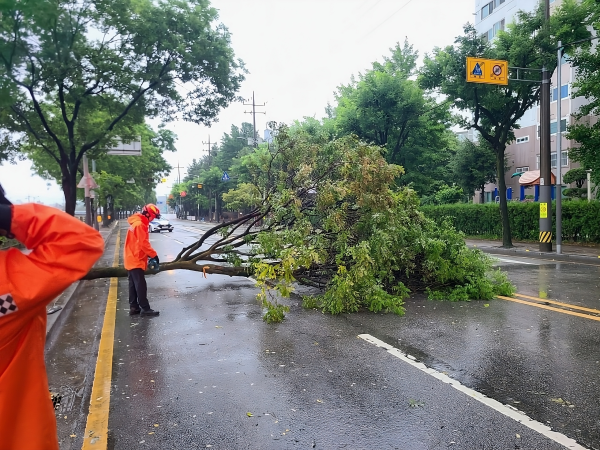 전북소방, 2025년 구조·생활안전 활동 분석 현장 중심 대응역량 강화