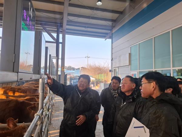 전북자치도, 김제 가축시장 찾아 한우 거래 현장 점검…축산농가 애로 청취