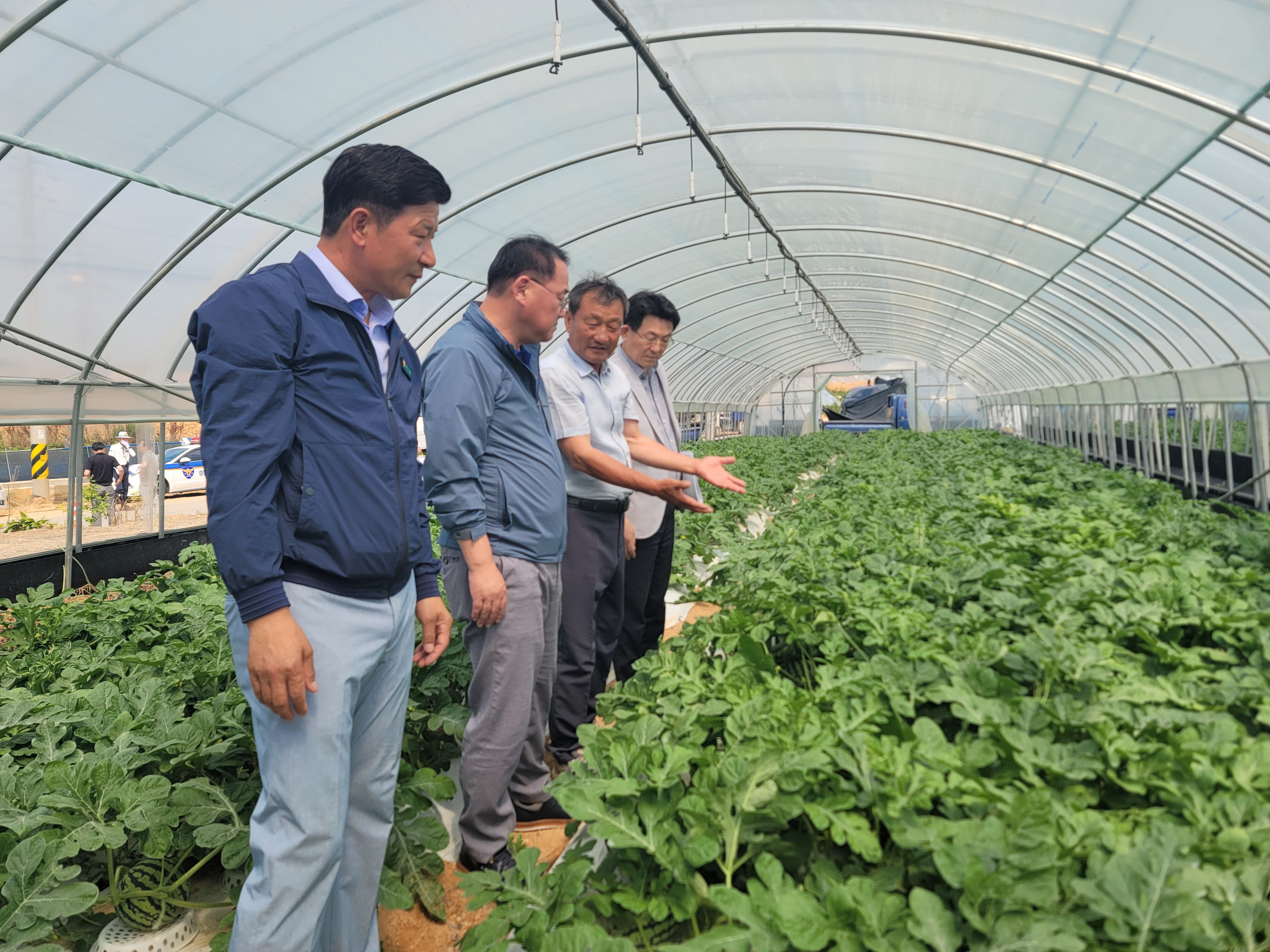Jeonbuk State Conducts Heatwave Response Inspections at Agricultural Sites in Gochang. image(1)