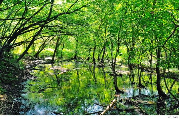Jeonbuk Carbon Neutrality and Green Infrastructure | Sustainability