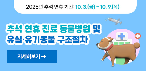 2025년 추석 연휴 기간: 10. 3.(금) ~ 10. 9.(목)

추석 연휴 진료 동물병원 및 유실·유기동물 구조절차

자세히보기 →