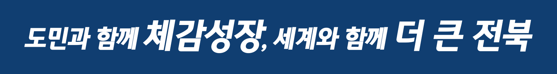 전북특별자치도 로고타입 응용형 국문