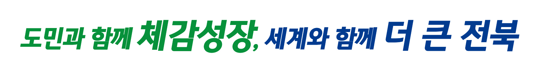 전북특별자치도 로고타입 응용형 국문