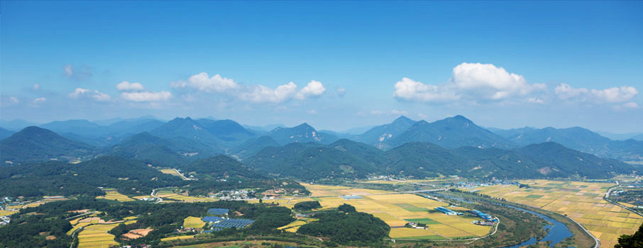 토지정보 전경사진