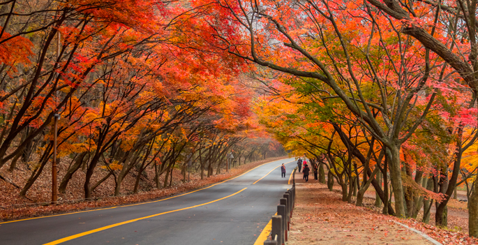 Jeongeup-si